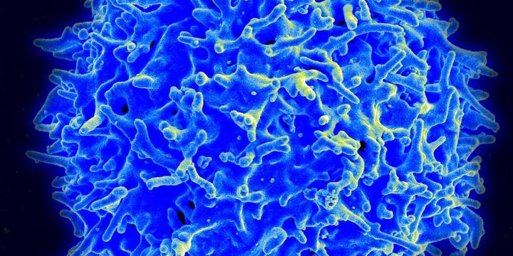 Solar Power for Businesses: Cutting Costs and Carbon